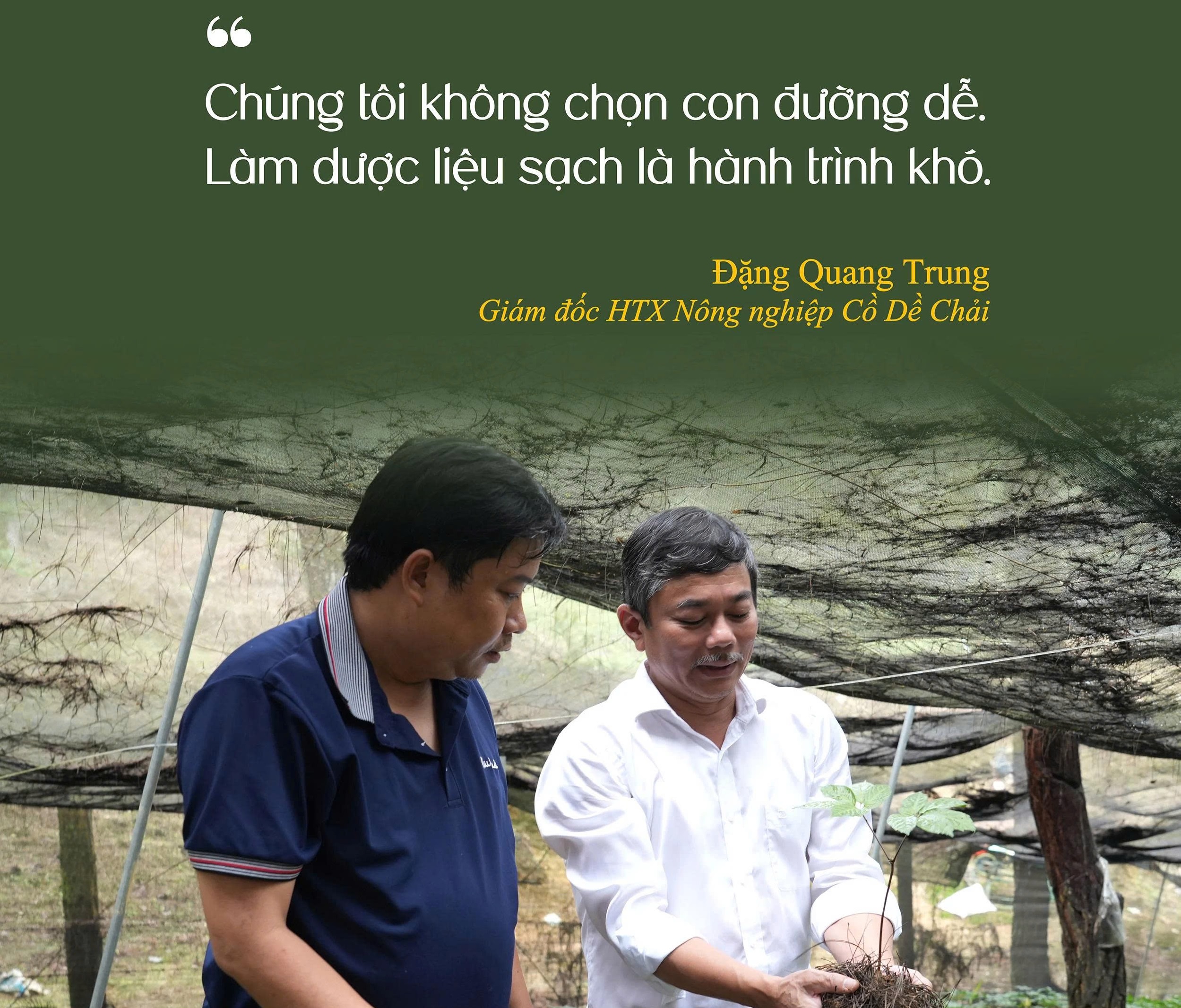 HỒI SINH DƯỢC LIỆU QUÝ TRÊN CAO NGUYÊN  BẮC HÀ